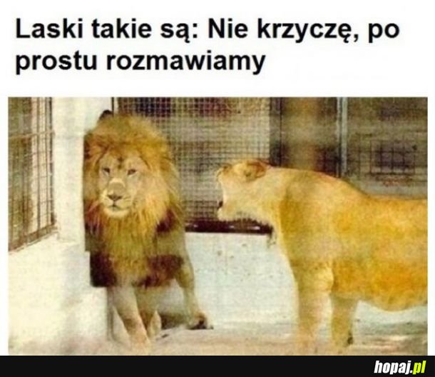 Laski takie są