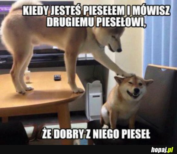 DOBRY PIESEŁ