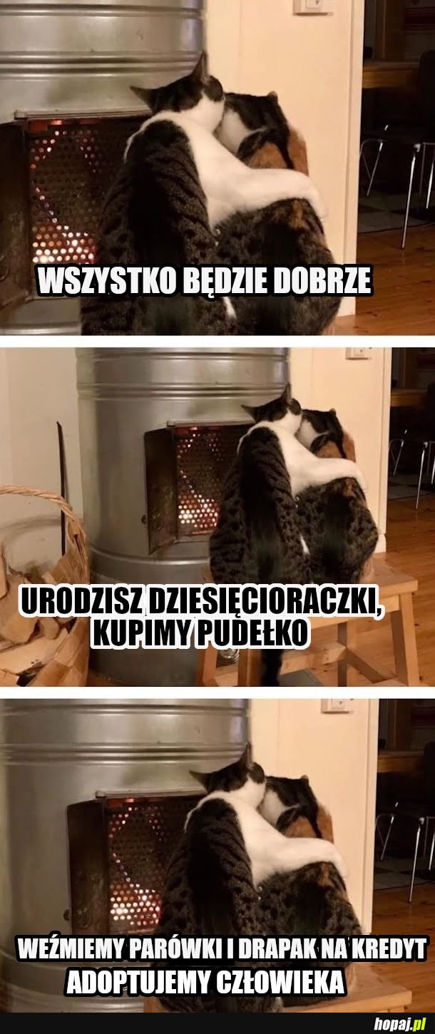 Zobaczysz, ułoży się