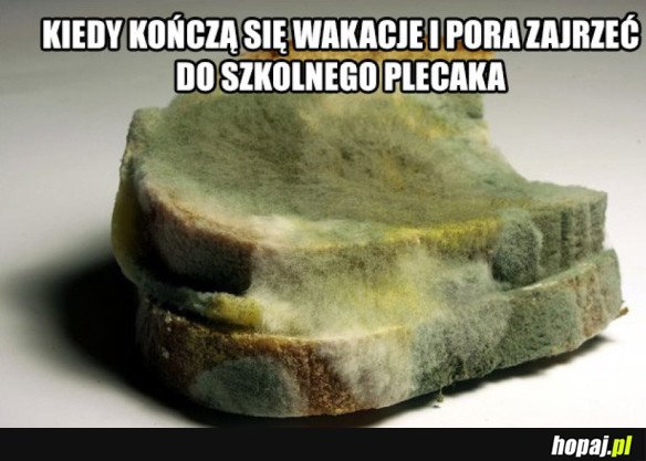 Czas do szkoły