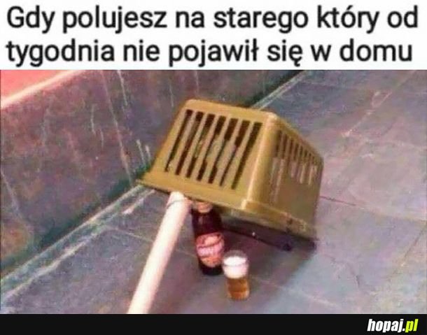 Polowanie na ojca