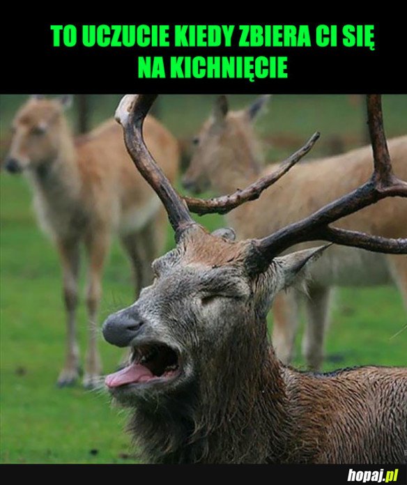 Ten uczuć