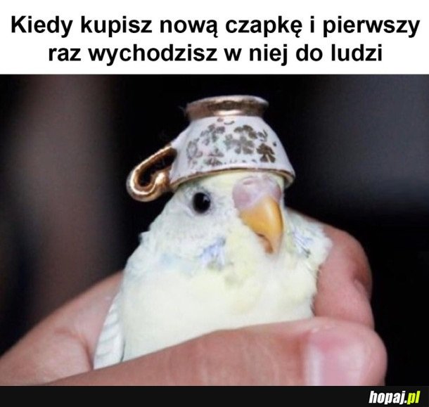 ZA KAŻDYM RAZEM