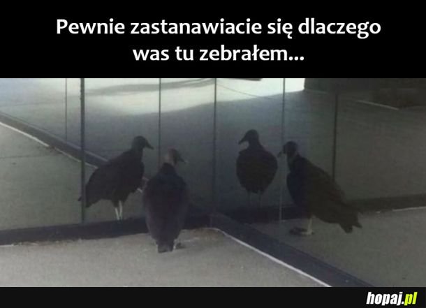 Witam 