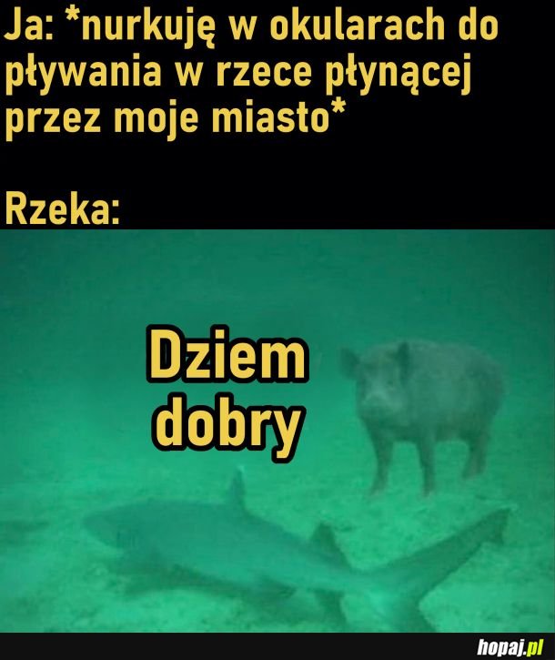 Rzeka w mieście