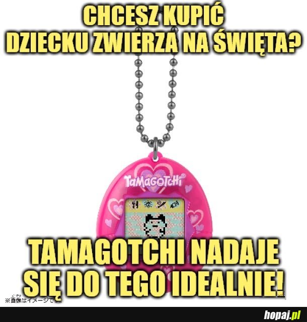 Idealny zwierzak dla dziecka!