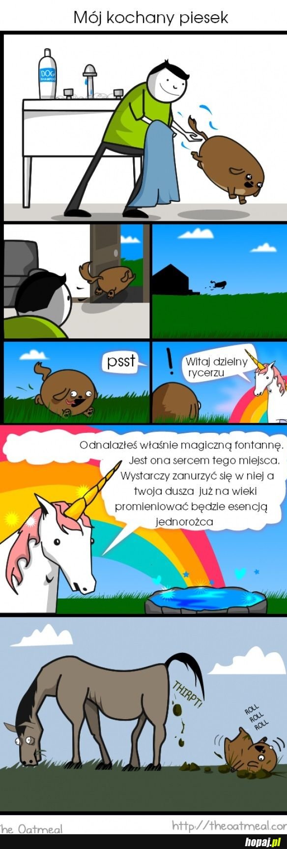 Psy takie są