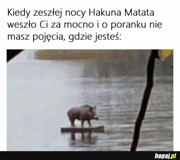 Hakuna Matata