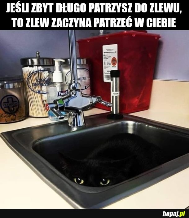 Otchłań