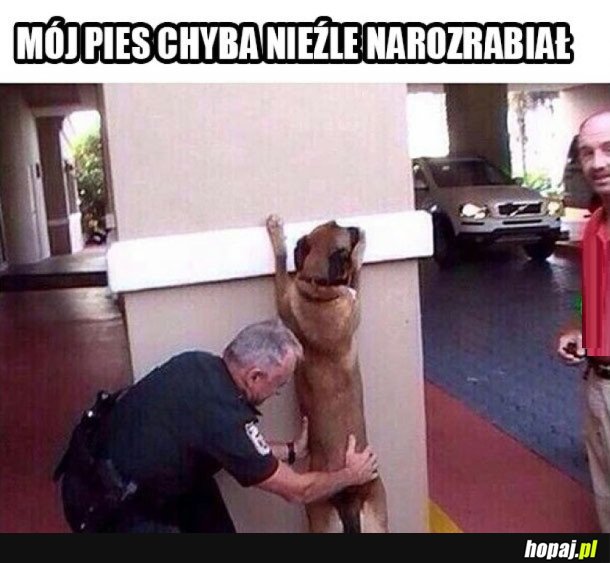 PIESEŁ NAROZRABIAŁ