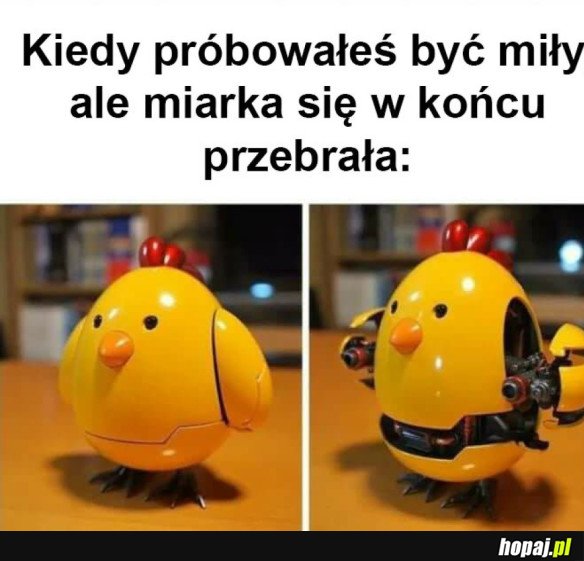 MIARKA SIĘ PRZEBRAŁA