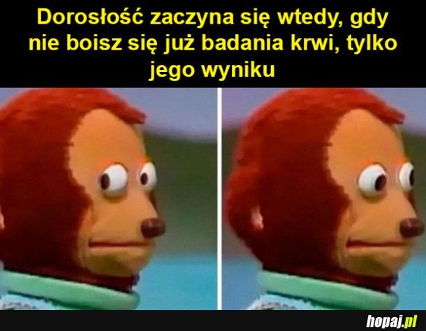 Wyniki badań