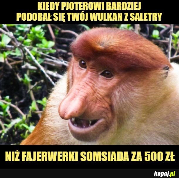 Radość!