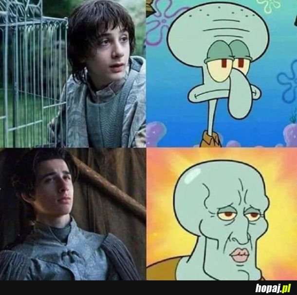 RobinArryn 