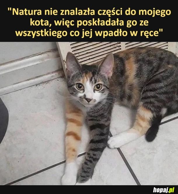 Składak