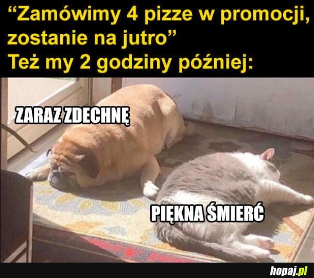 Pizze w promocji