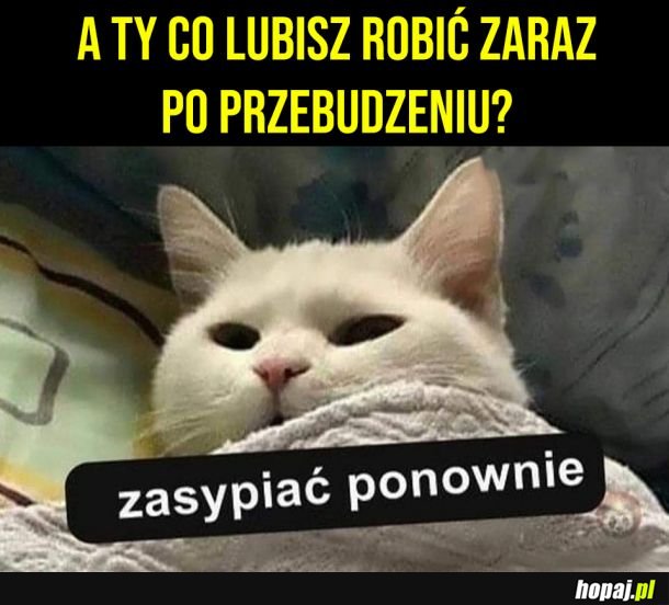 Uwielbiam