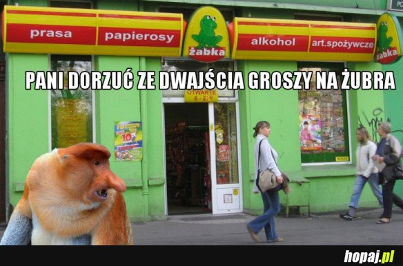 HEHESZKI POD ŻABKĄ