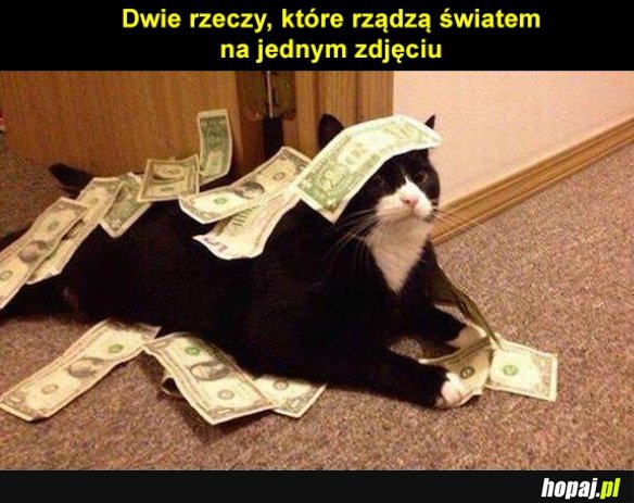 Wreszcie