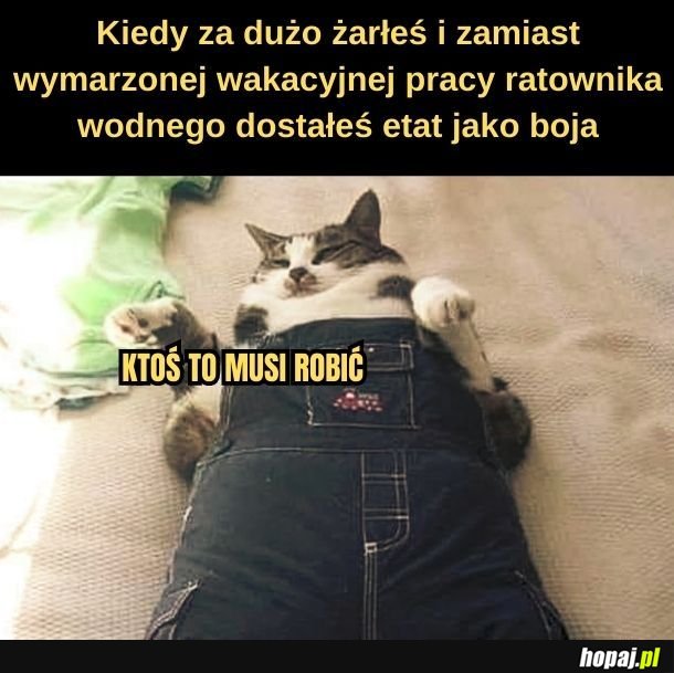 Żadna praca nie hańbi. 