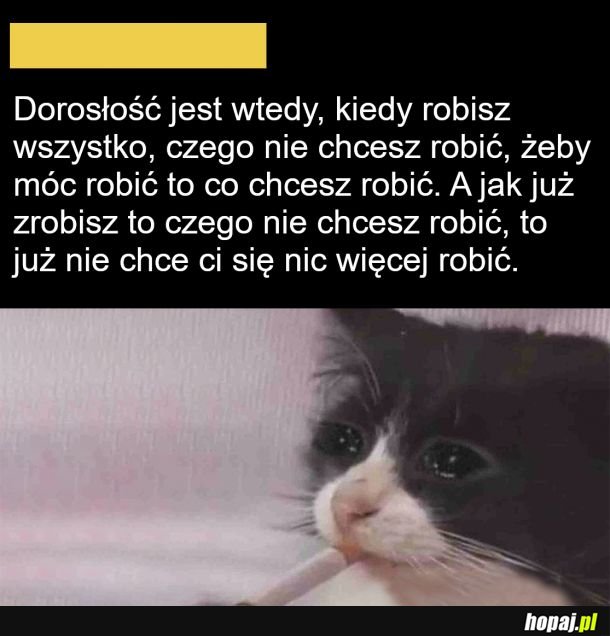 Dorosłość