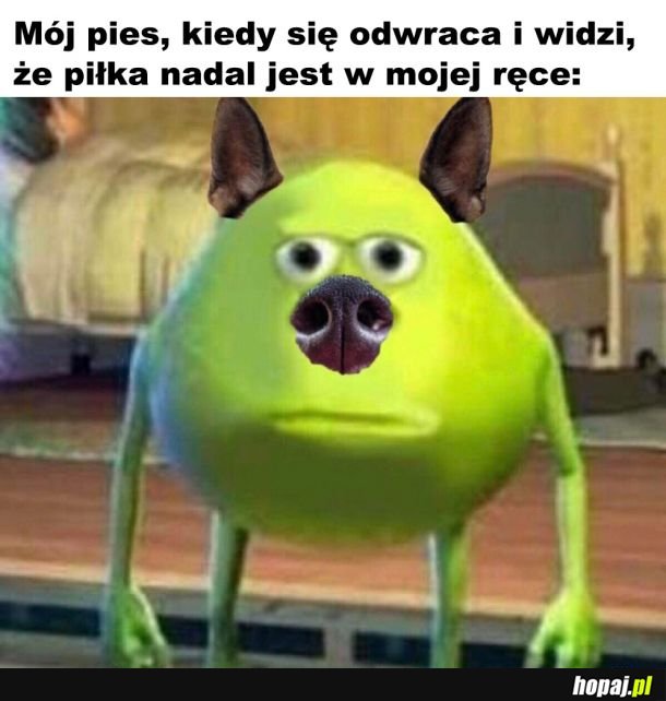 No rzucaj już