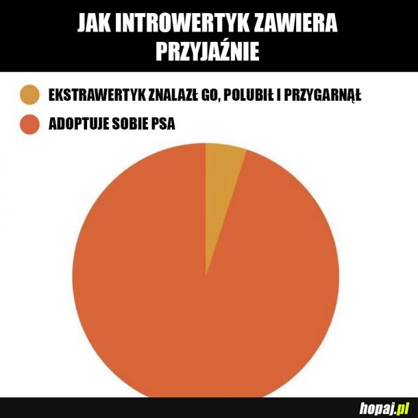 Zawieranie przyjaźni