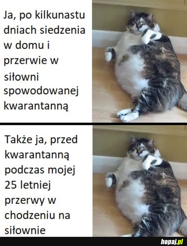 Kwarantannowe sadełko