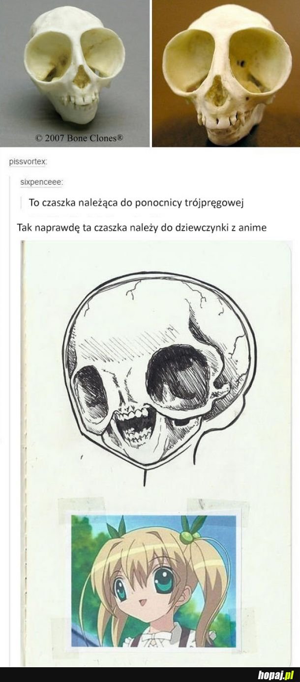 Anatomia chińskich bajek