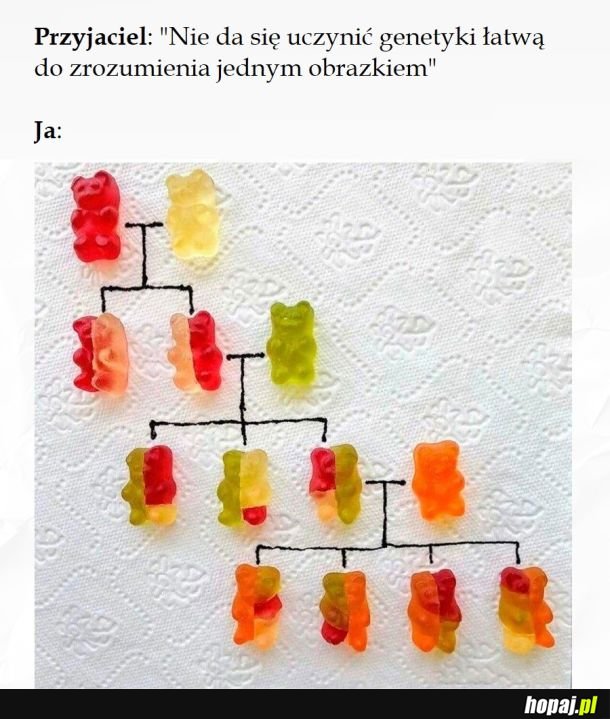 Słodka nauka