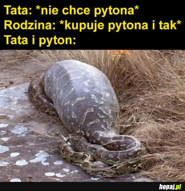 Pyton