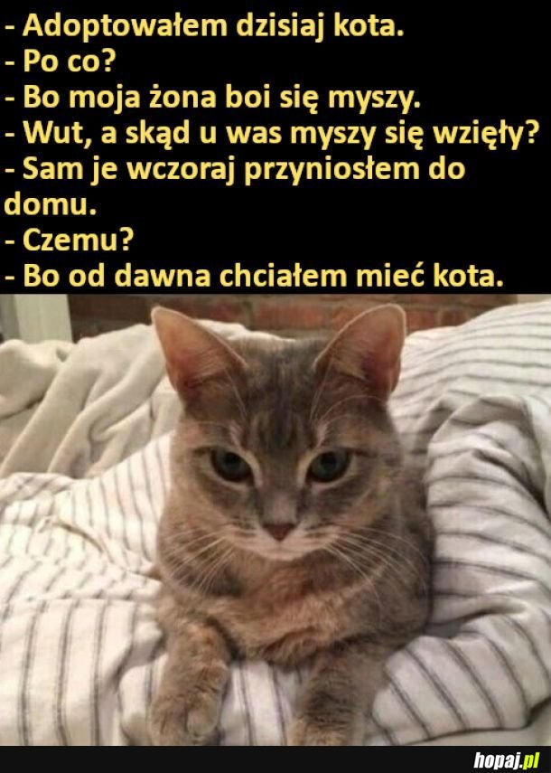 Podstęp