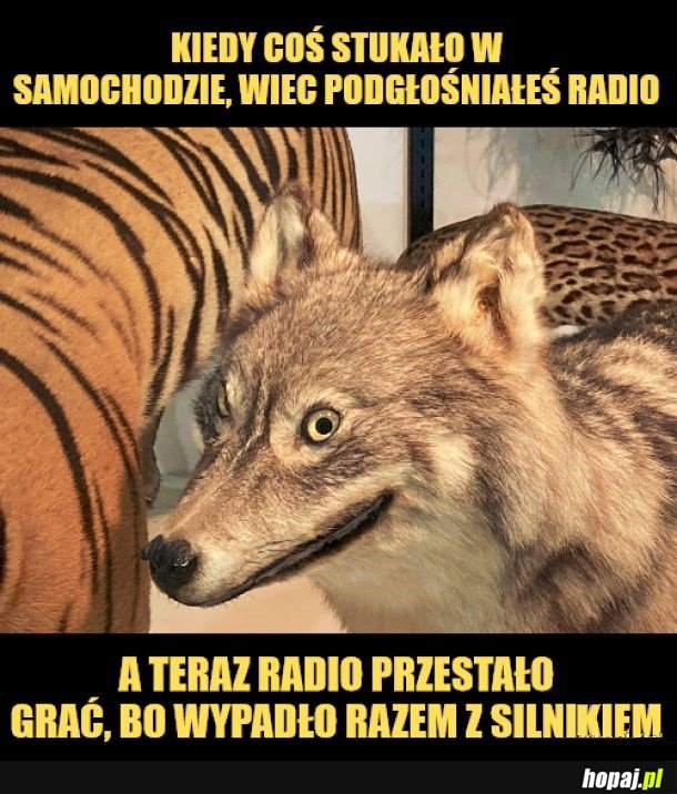 Samochód.