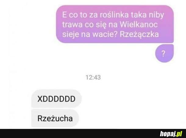 Roślinka wielkanocna