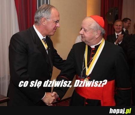 Co się dziwisz?