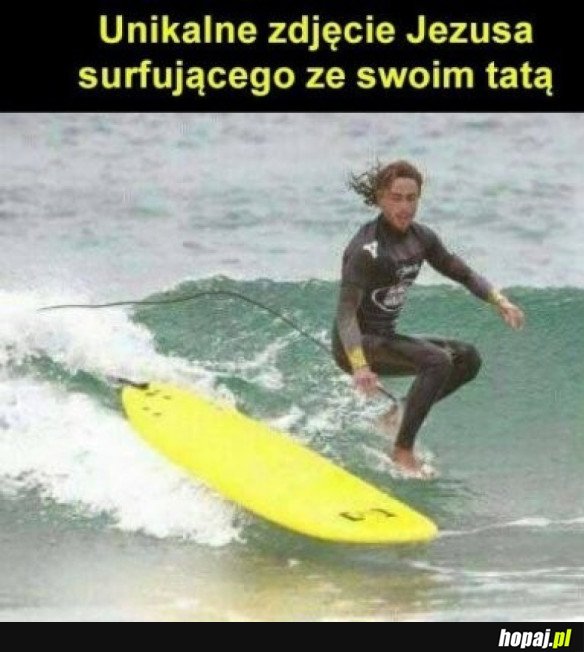 WIEDZIELIŚCIE, ŻE SURFUJĄ ?