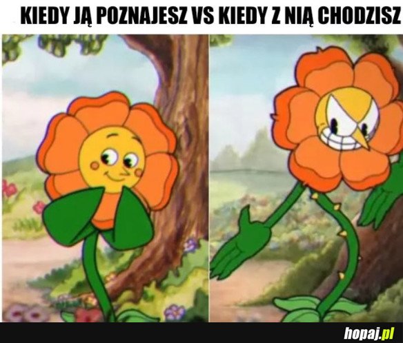 NIE ZAUWAŻYŁEM TYCH KOLCY..