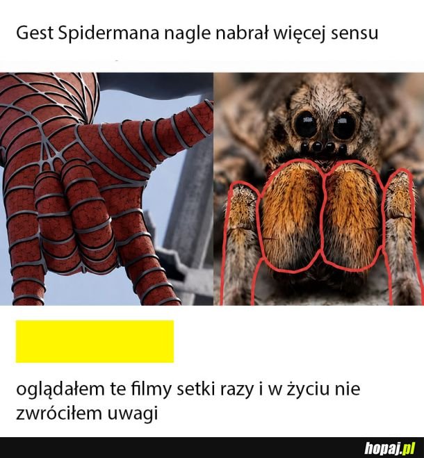 A więc to dlatego