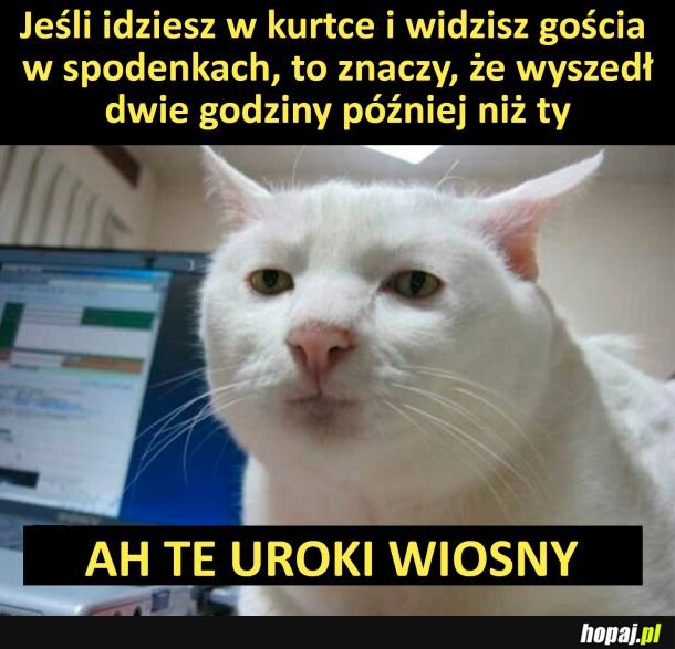 Uroki wiosny