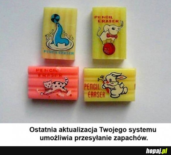 Kto pamięta?