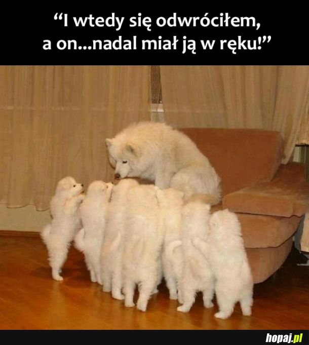 Straszna opowieść 