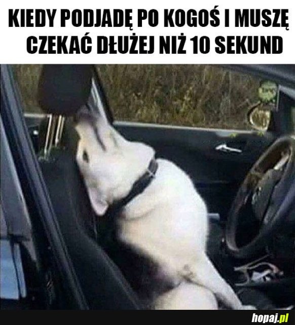 ILE MOŻNA CZEKAĆ?!