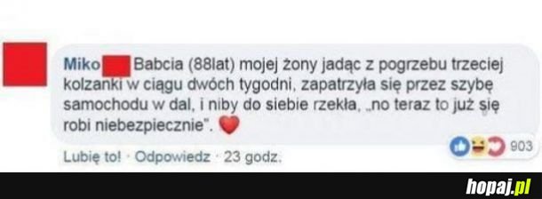 Las niebezpiecznie zbliżył się do okien...