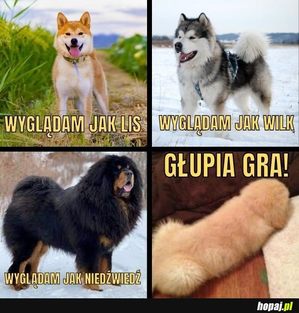 Głupia gra