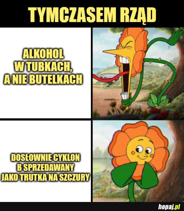 Cyklon B na myszy.