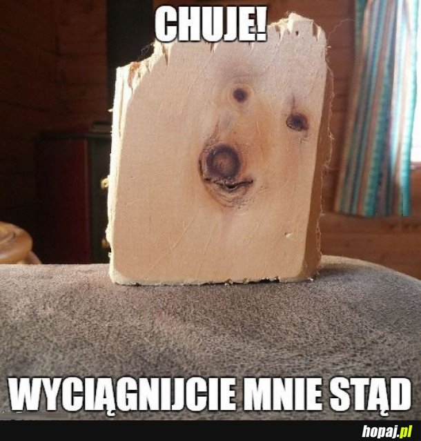 PIESEŁ
