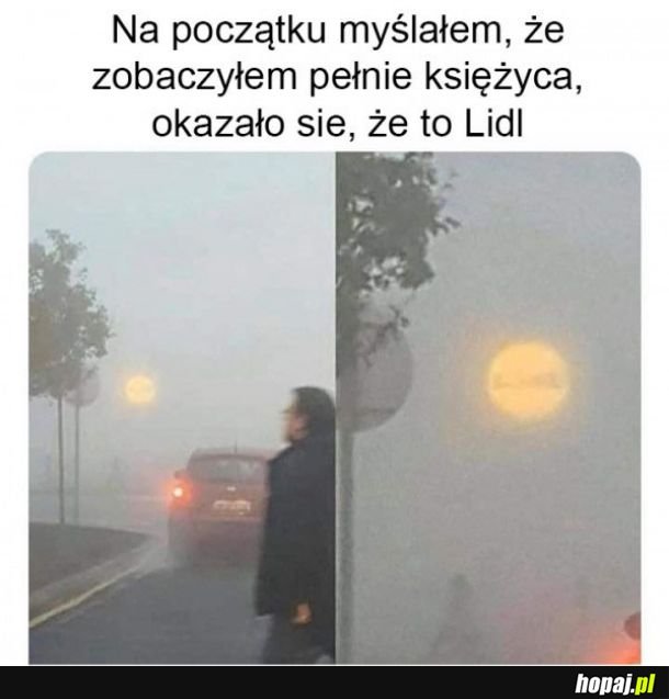 Pełnia Lidla
