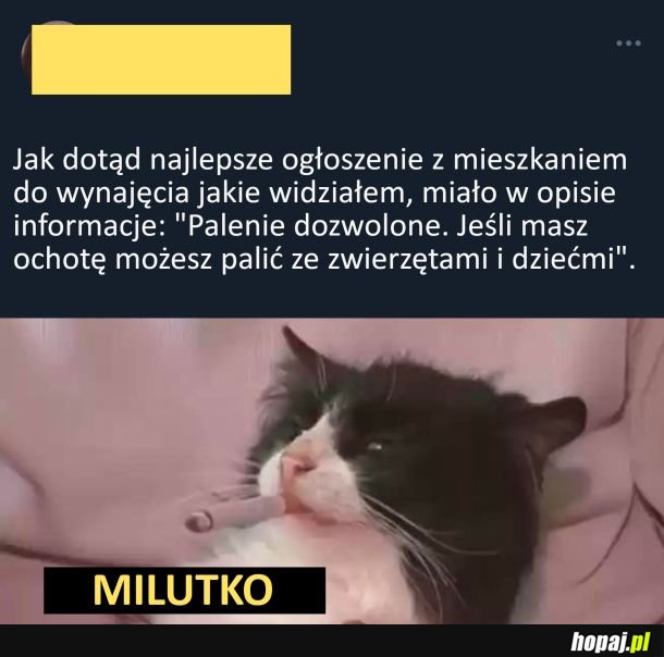 Mieszkanie do wynajęcia