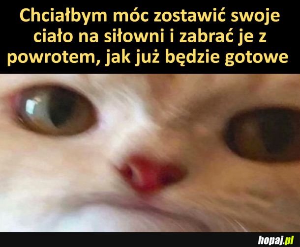 Takie moje małe marzenie