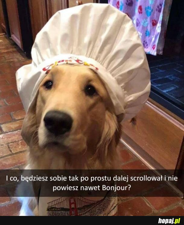 Bonjour, monsieur Pieseu